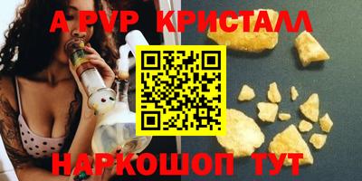 индика Новодвинск
