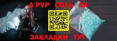 индика Новодвинск