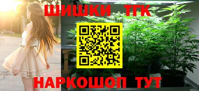 индика Новодвинск