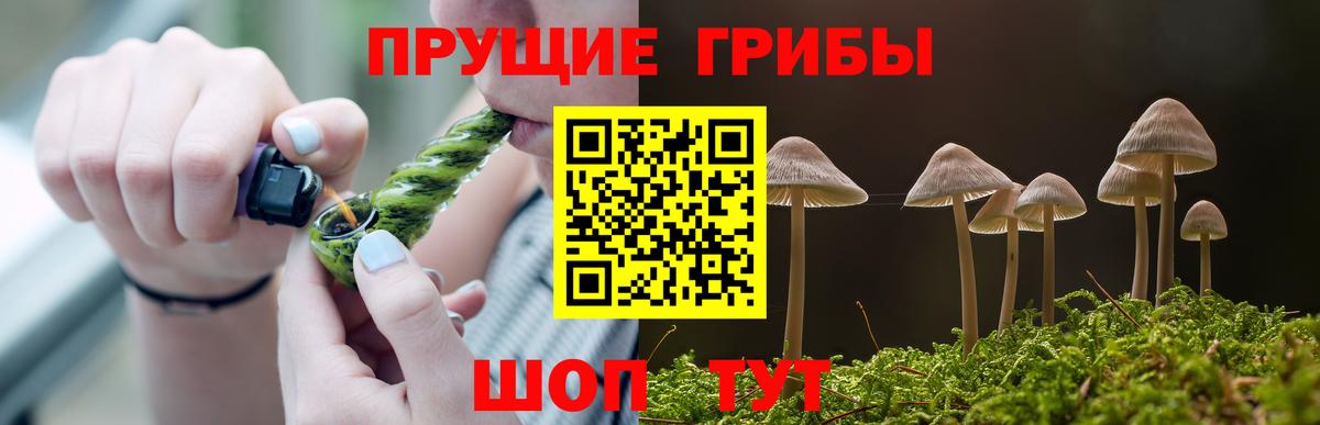 Галлюциногенные грибы Cubensis  Вход с VPN  Чита  Галлюциногенные грибы Psilocybine cubensis 